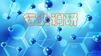 新材料 聚焦“小而精”，調(diào)研洞察化工原料需求，網(wǎng)絡技術(shù)研究賦能產(chǎn)業(yè)創(chuàng)新